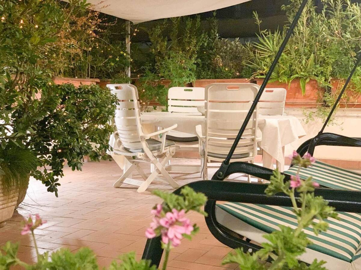 Apartment Dama Roof House *